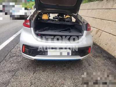 2018, Hyundai / Ioniq, 106113 км., hybrid