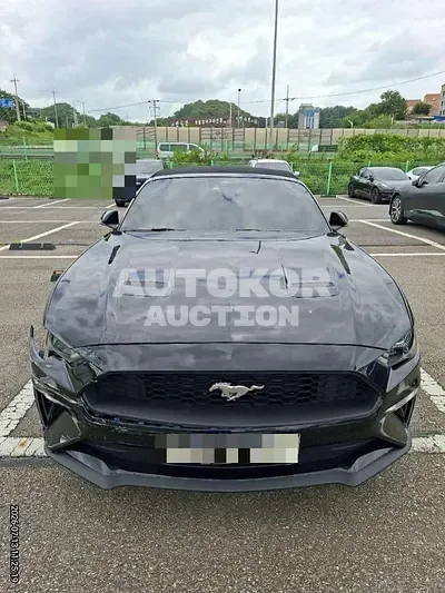 2023, Ford / Mustang, 62076 км., gas, 2300 куб.см.