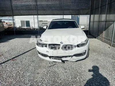 2017, BMW / 320, 192860 км., diesel