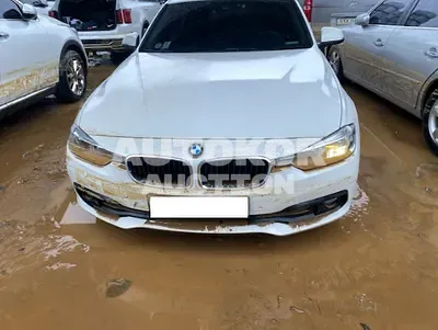 2016, BMW / 320, VIN: WBA8C5108GK639597, 75675 км., diesel