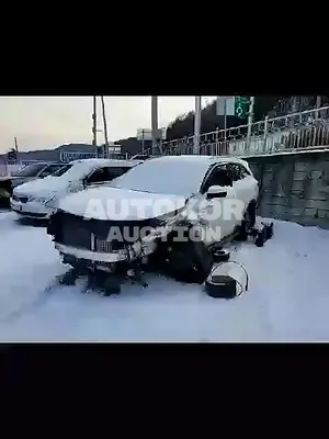 2020, Kia / Sorento, VIN: KNARL81BGMA067027, diesel