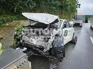 2017, Nissan / Altima, VIN: 1N4AL3AP1HC199066, 112577 км., gas