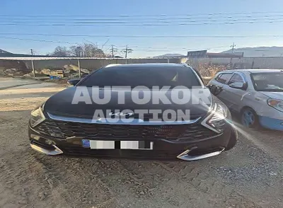 2024, Kia / Sportage, 31317 км., gas, 1598 куб.см.