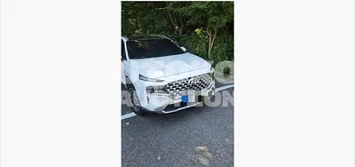2021, Hyundai / Santa FE, 117244 км., gas, 1600 куб.см.