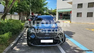 2019, Kia / Sorento, VIN: KNAPH81BDKA510942, diesel