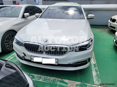2019, BMW / 520, VIN: WBAJK7109KGL29308, 22000 км., gas