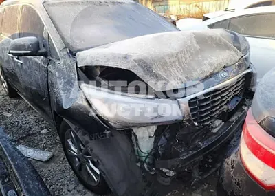 2019, Kia / Carnival, VIN: KNAME811BKS457507, 124856 км., gas