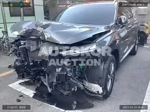 2019, Hyundai / Santa FE, VIN: KMHS281BBLU236655, diesel
