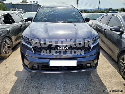 2022, Kia / Sorento, VIN: KNARK81BGNA118625, 20000 км., diesel