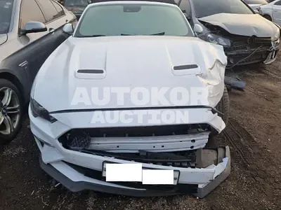 2019, Ford / Mustang GT, VIN: 1FATP8FF6K5190630, 25602 км., gas