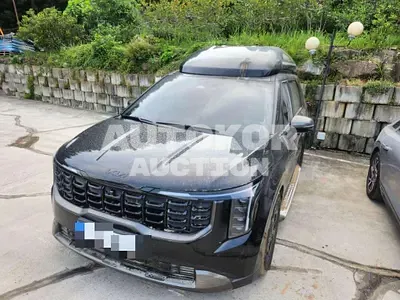 2025, Kia / Carnival, 20000 км., gas, 3500 куб.см.