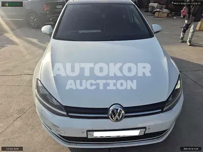2016, Volkswagen / Golf, VIN: WVWZZZAUZGW096391, 172004 км., diesel, 1968 куб.см.