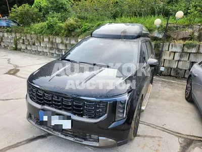 2025, Kia / Carnival, 20000 км., gas, 3500 куб.см.