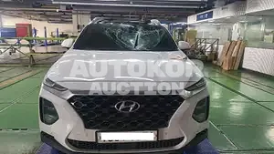 2020, Hyundai / Santa FE, VIN: KMHS381CBLU261557, diesel