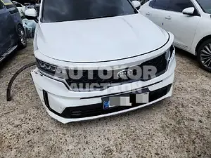 2020, Kia / Sorento, VIN: KNARH81BGMA067222, 60000 км., diesel, 2151 куб.см.