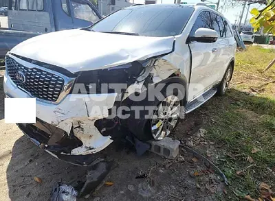 2019, Kia / Sorento, VIN: KNAPK81BDKA499125, 90158 км., diesel