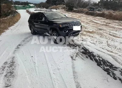 2019, Jeep / Grand Cherokee, 117106 км., gas