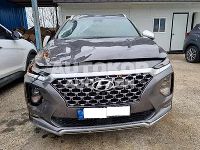 2020, Hyundai / Santa FE, VIN: KMHS581BBLU220554, diesel, 2000 куб.см.