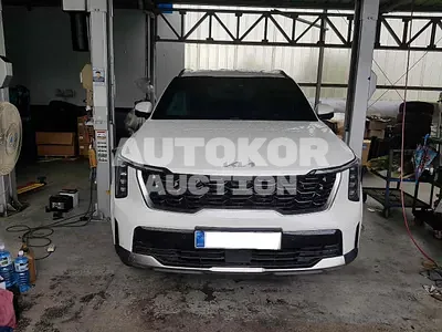2023, Kia / Sorento, VIN: KNARK81GBRA254909, 17382 км., hybrid