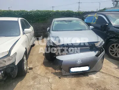 2018, Hyundai / ionic, VIN: KMHC051HFJU023341, 38180 км., electric