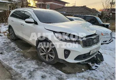 2020, Kia / Sorento, VIN: KNAPG81BBLA569568, 91552 км., diesel