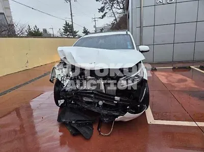 2019, Kia / Carnival, VIN: KNAME81ABKS598988, 45564 км., diesel