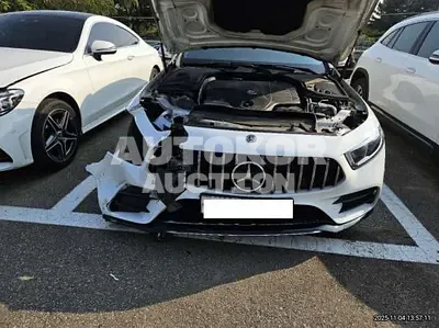 2019, Mercedes-Benz / cls450, 86430 км., gas