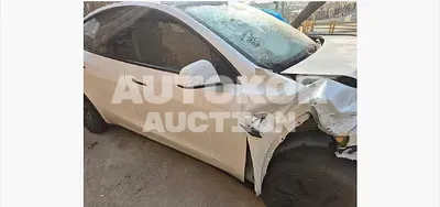 2024, Tesla / Model Y, 50000 км., electric, 173 куб.см.