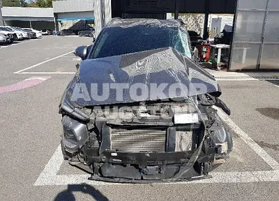 2019, Hyundai / Santa FE, VIN: KMHS381BDKU173046, diesel