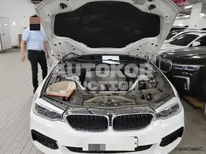 2018, BMW / 530, VIN: WBAJD9101JWC12111, 84633 км., gas