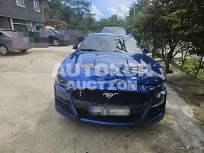 2018, Ford / Mustang, 122057 км., gas, 2300 куб.см.