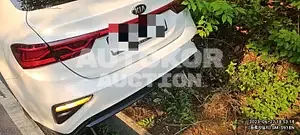 2018, BMW / Z1, VIN: KNAF341BEKA820001, 53000 км., gas