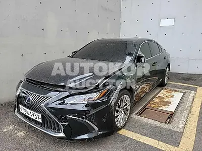 2021, Lexus / ES 300, VIN: JTHBA1C18M2000918, 17639 км., hybrid