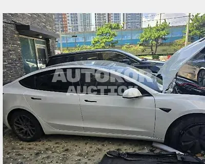 2024, Tesla / Model 3, electric, 190 куб.см.