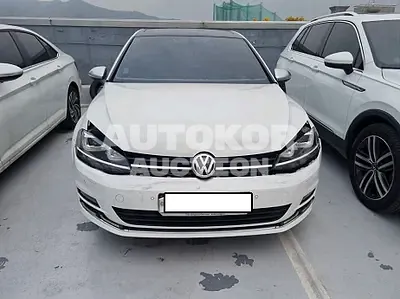 2016, Volkswagen / Golf, VIN: WVWZZZAUZGW153228, gas