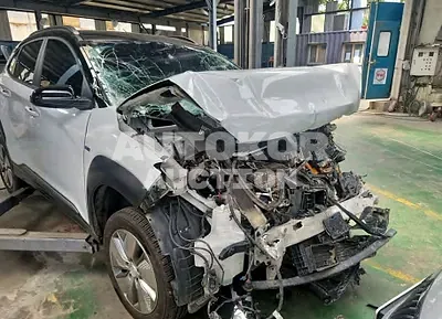 2020, Hyundai / Kona, VIN: KMHK381GFLU067939, electric