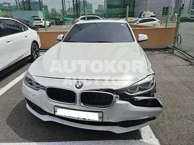 2017, BMW / 320, VIN: WBA8C5108HA068779, 51174 км., diesel