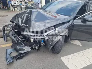 2021, Kia / K5, VIN: KNAG3412BNA159444, gas