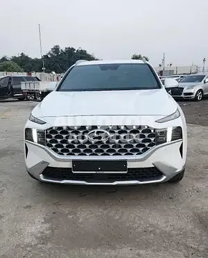 2021, Hyundai / Santa FE, 42682 км., gas