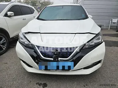 2019, Nissan / Leaf, 125037 км., electric