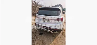 2020, Hyundai / Santa FE, 162696 км., diesel, 2151 куб.см.