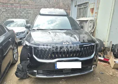 2024, Kia / Carnival, 57410 км., gas, 3500 куб.см.