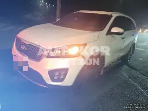 2016, Kia / Sorento, diesel