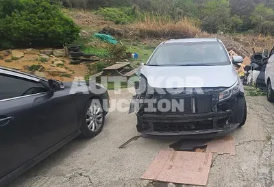 2015, Kia / Carnival, VIN: KNAMB81ABFS055294, diesel