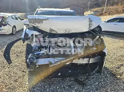 2025, Hyundai / Santa FE, gas, 2500 куб.см.