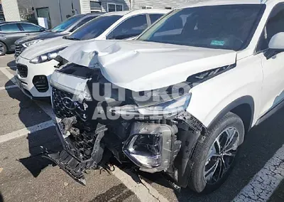 2019, Hyundai / Santa FE, VIN: KMHS381ABKU112387, gas