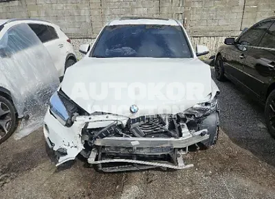 2019, BMW / X1, VIN: WBAJJ110XK3H47032, 79783 км., diesel