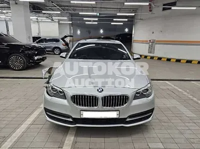2015, BMW / 528, 8683 км., gas