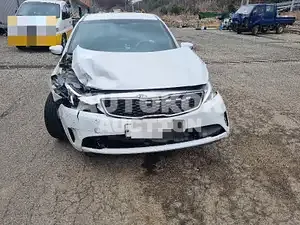 2016, BMW / Z1, VIN: KNAFJ412BGA635185, gas