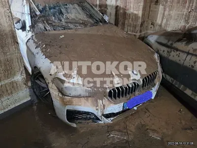 2021, BMW / 520, VIN: WBA11BH01MCG15405, gas